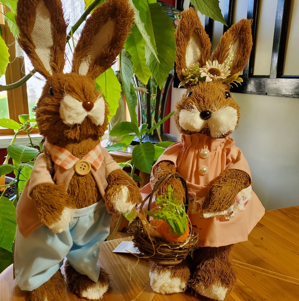Mr. And Mrs Bunny,